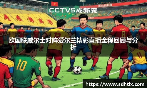 欧国联威尔士对阵爱尔兰精彩直播全程回顾与分析